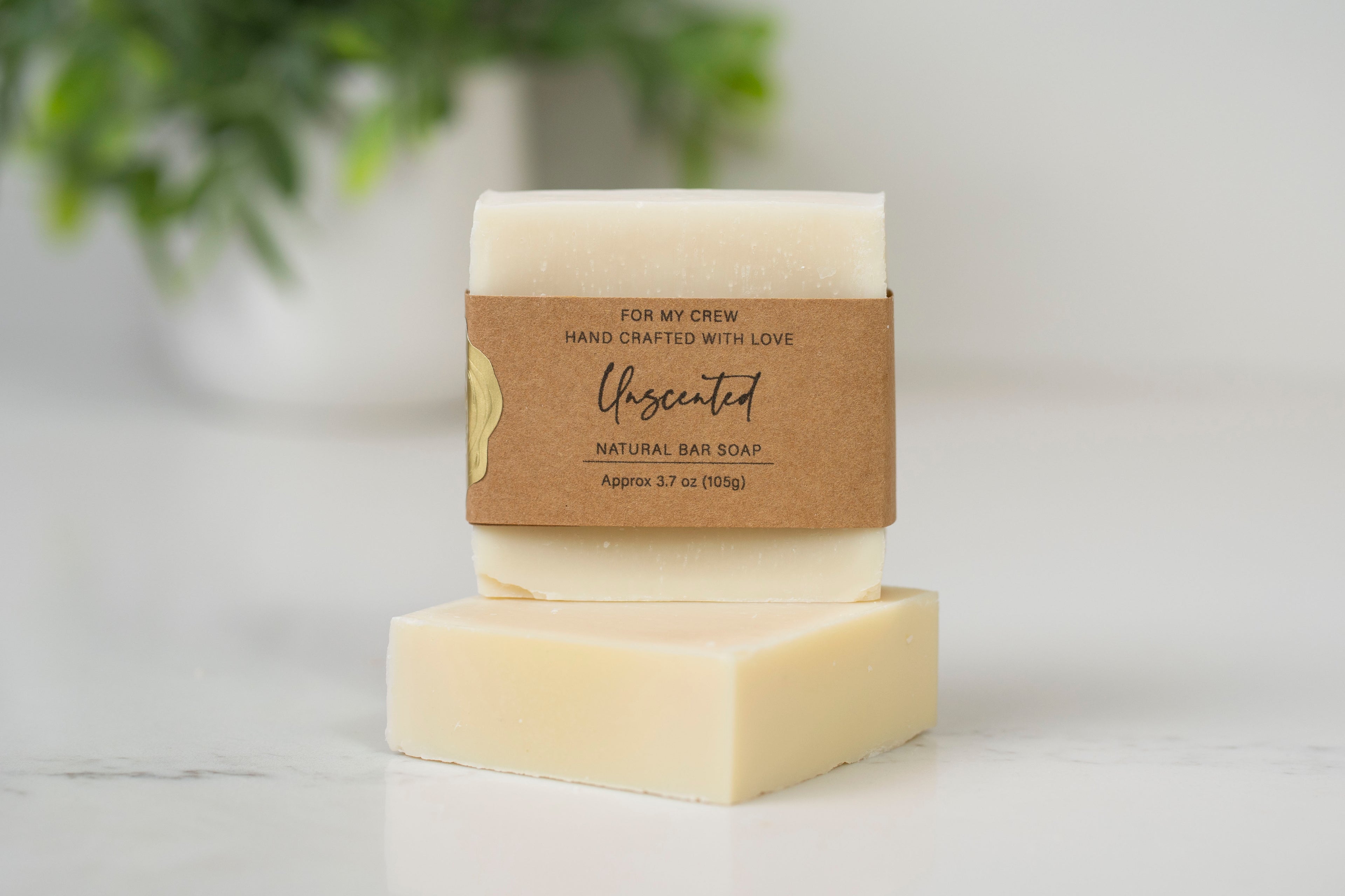 Unscented Soap Gift Set